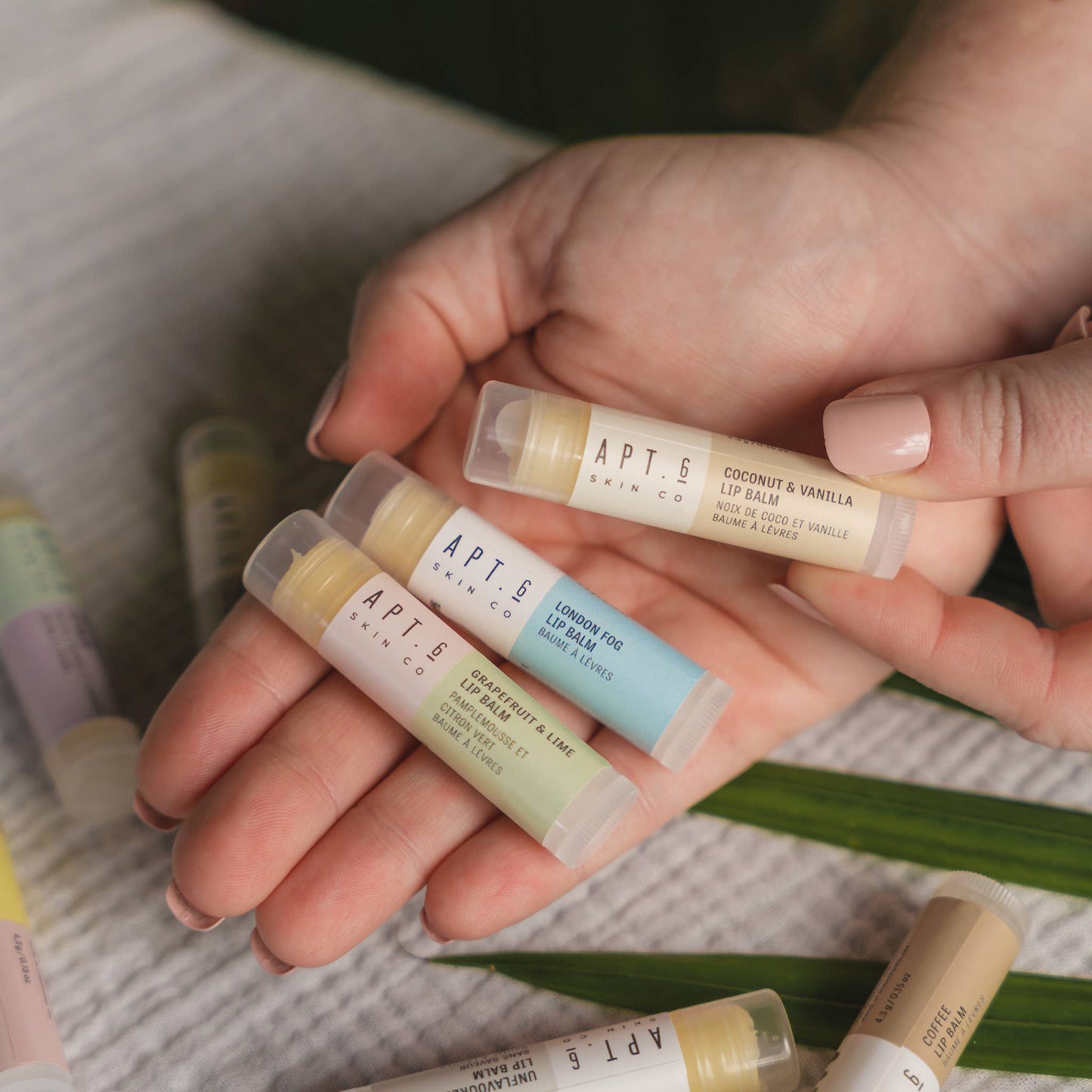 Classic Lip Balms | Coconut + Vanilla